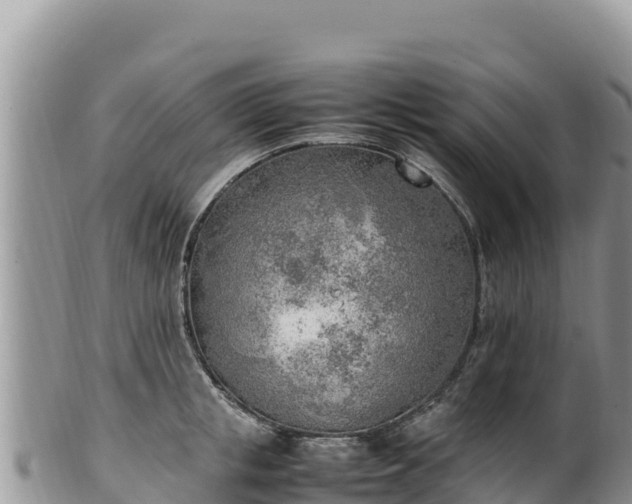 X0000102250853200808011309