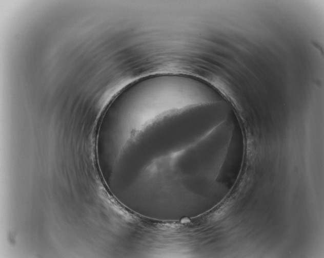 X0000102250854200808011309