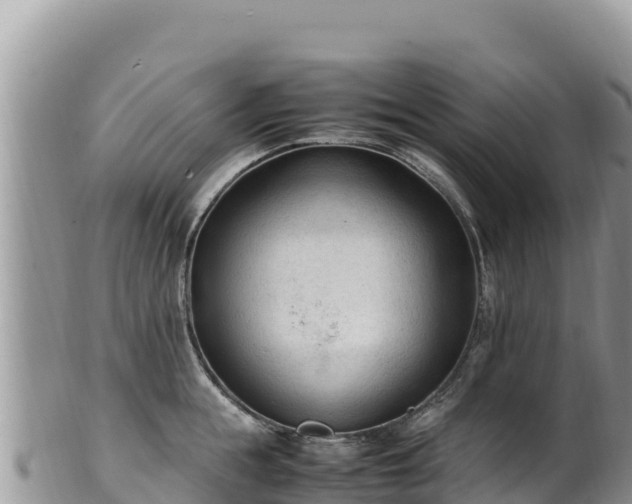 X0000102250855200808011309