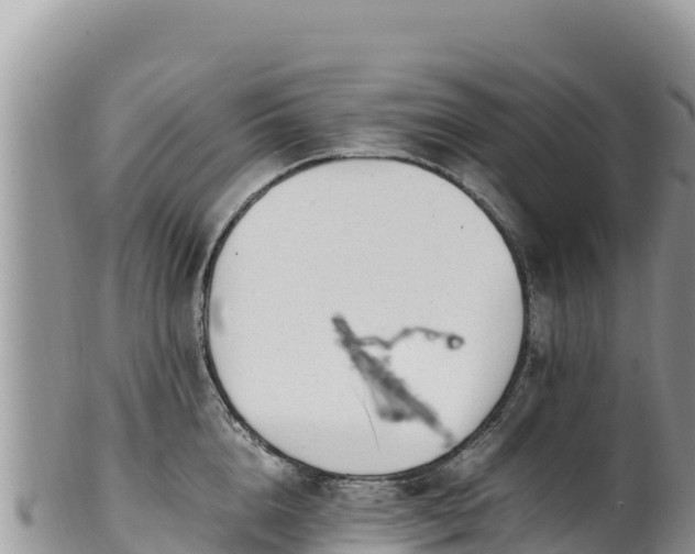 X0000102250856200808011309