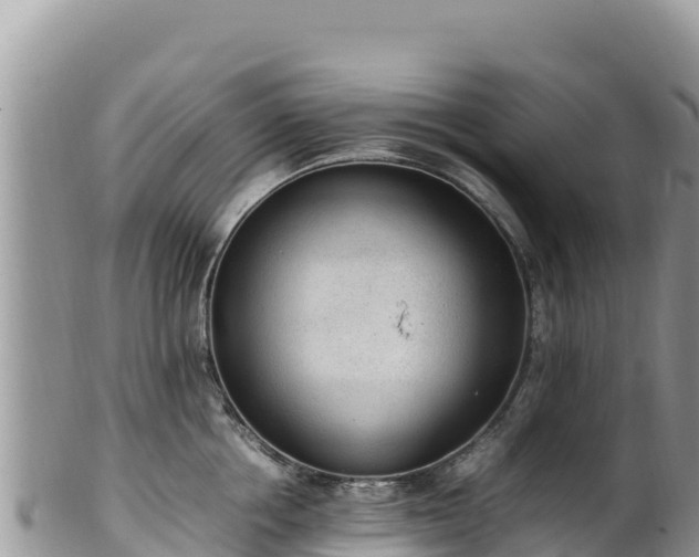 X0000102250858200808011309