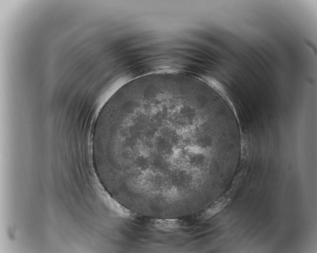 X0000102250859200808011309