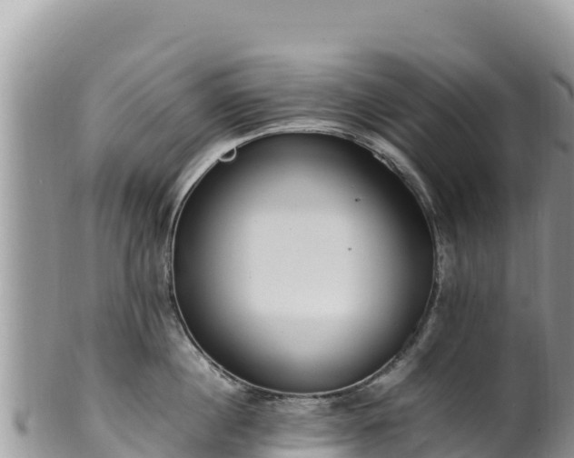 X0000102250860200808011309