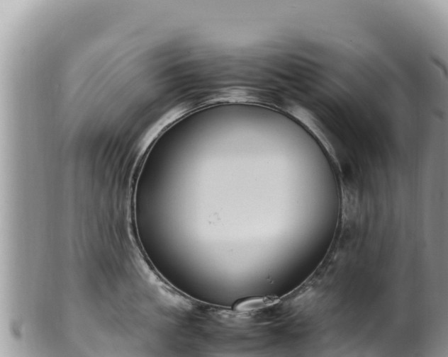 X0000102250861200808011309