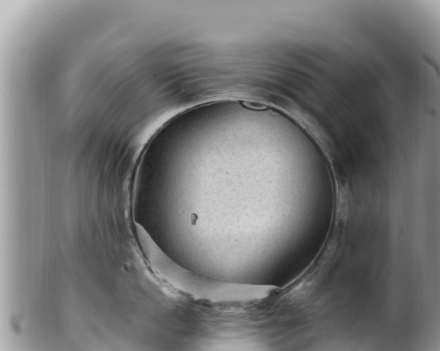 X0000102250862200808011309