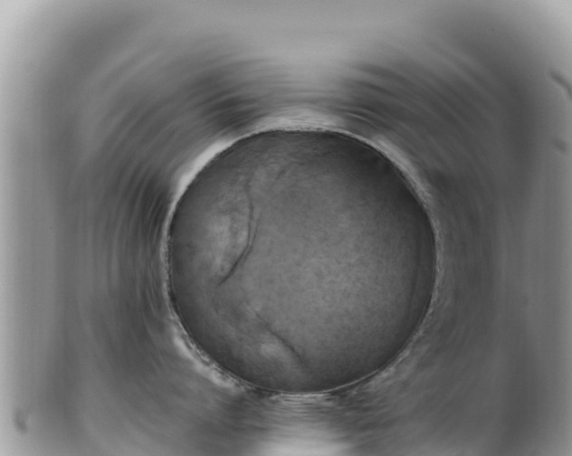 X0000102250864200808011309