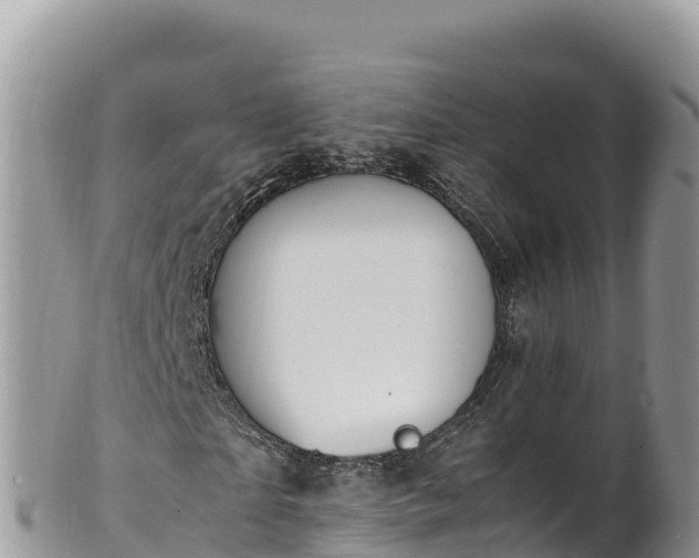 X0000102250865200808011308