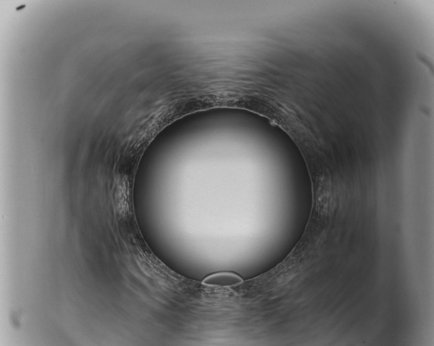 X0000102250866200808011308