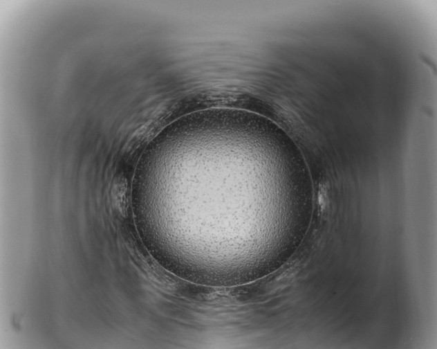 X0000102250867200808011308