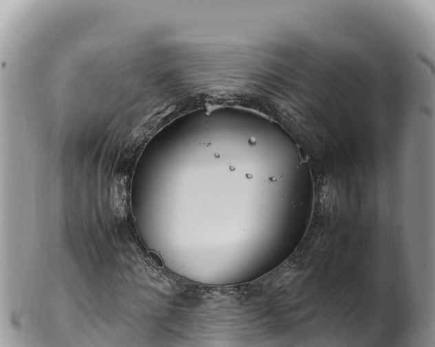 X0000102250868200808011308