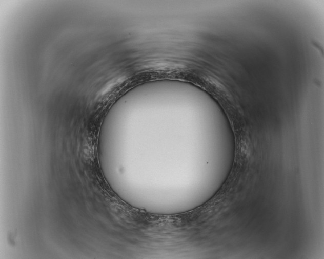 X0000102250869200808011308