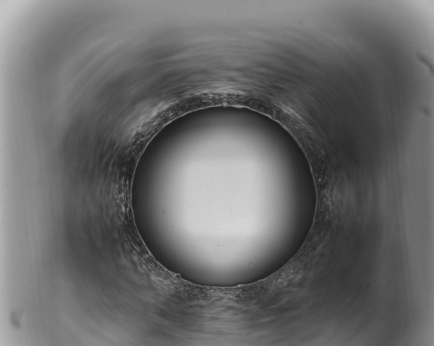 X0000102250870200808011308