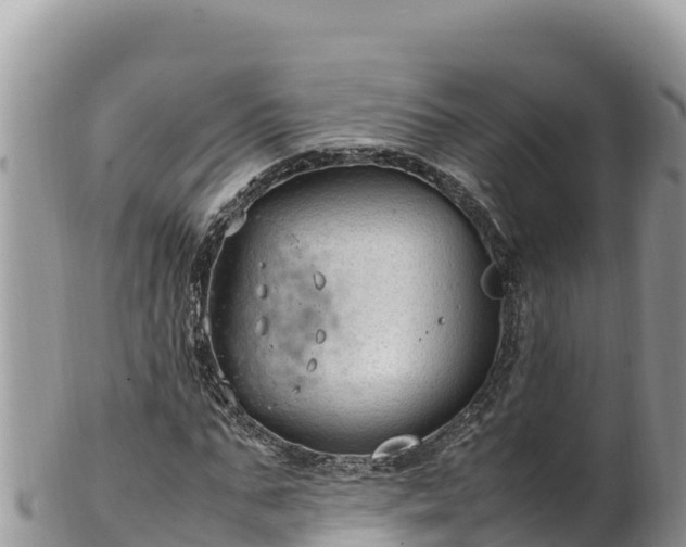 X0000102250871200808011308