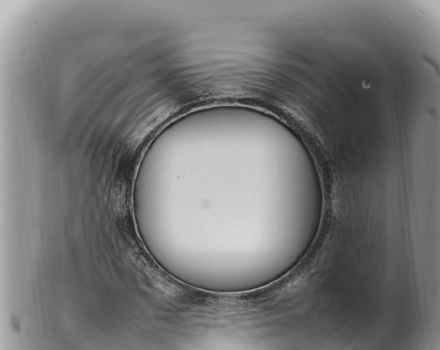 X0000102250873200808011308