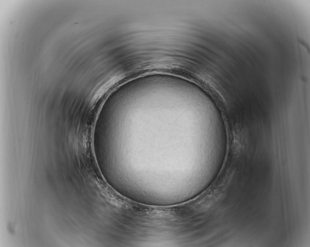 X0000102250874200808011308