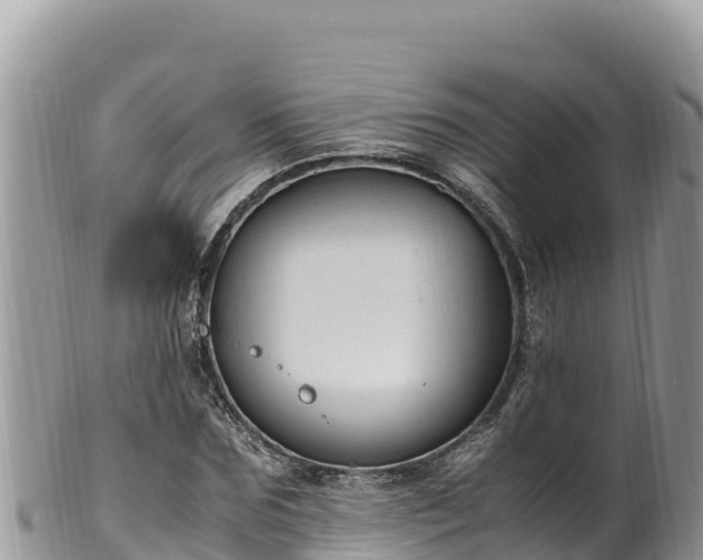 X0000102250875200808011308