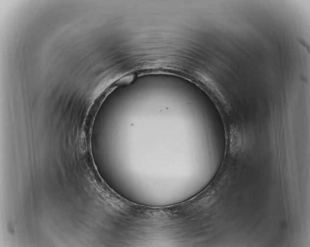 X0000102250876200808011308