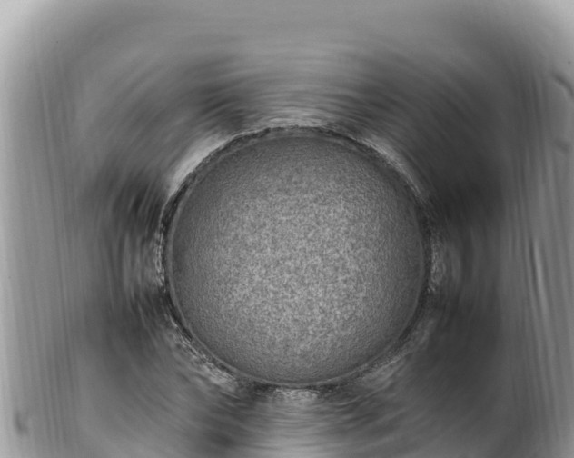 X0000102250878200808011308