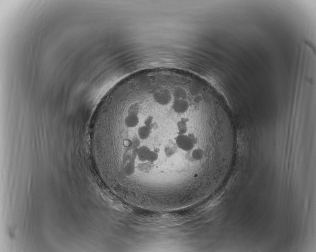 X0000102250879200808011308