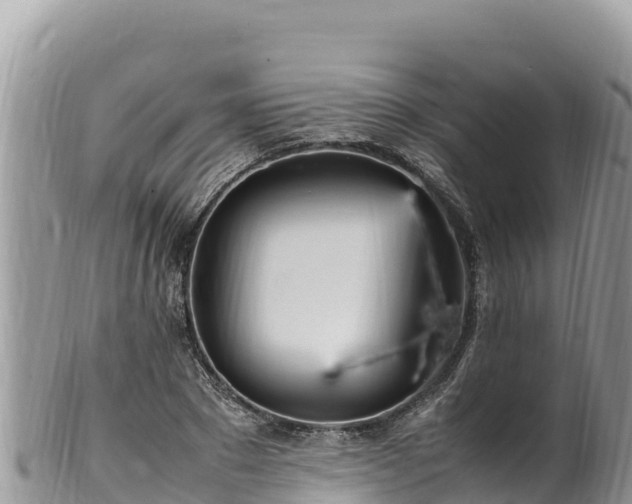 X0000102250881200808011308