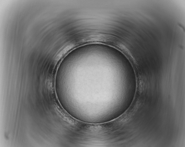 X0000102250882200808011308