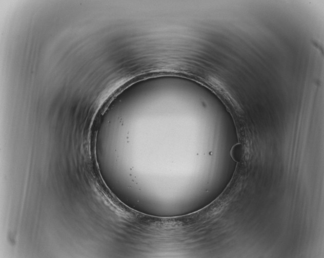 X0000102250884200808011308