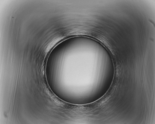 X0000102250885200808011308