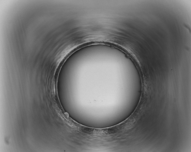 X0000102250887200808011308