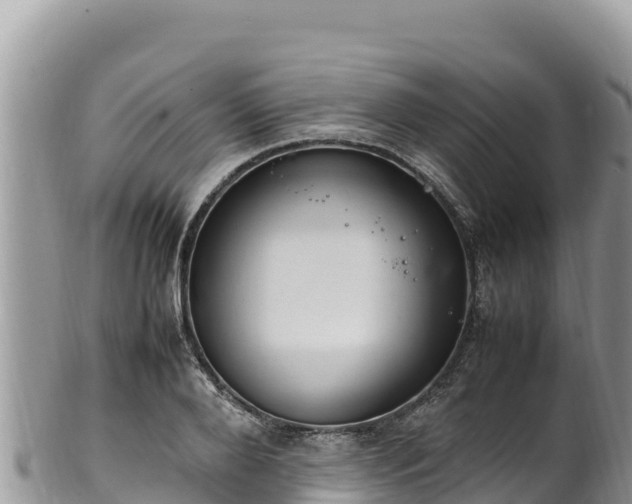 X0000102250888200808011308