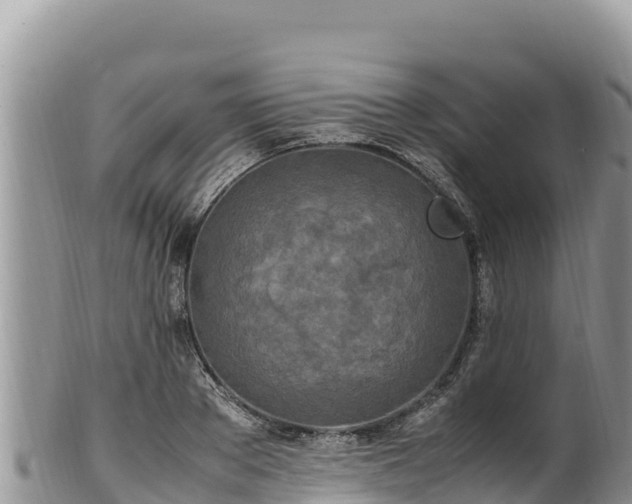 X0000102250889200808011308