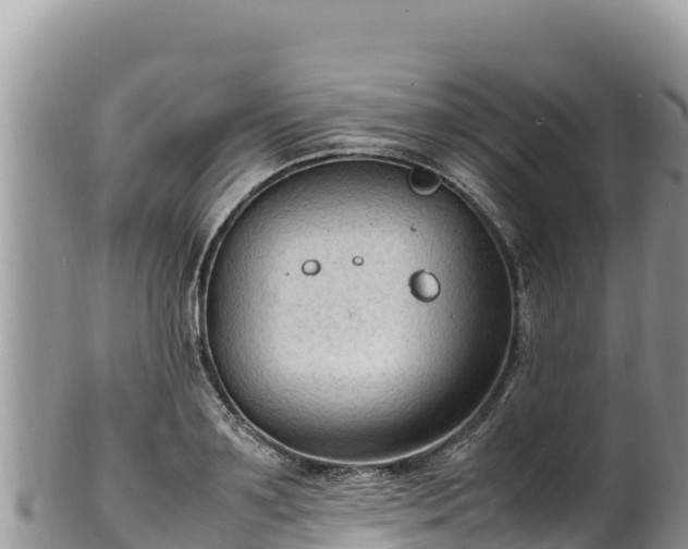 X0000102250891200808011308