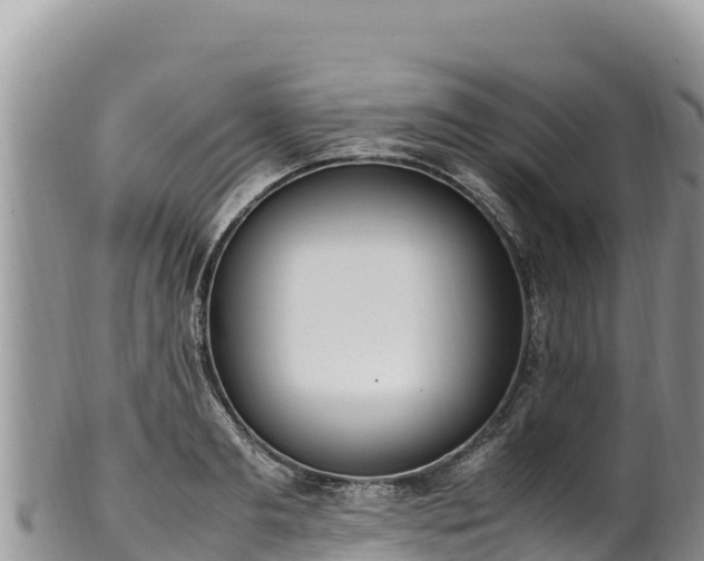 X0000102250893200808011308