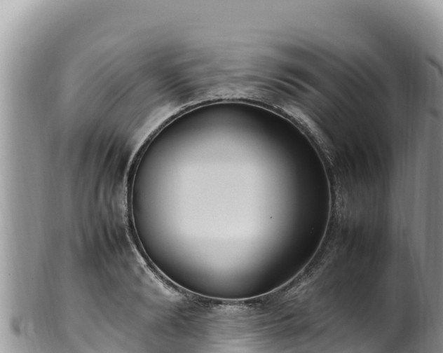 X0000102250894200808011308