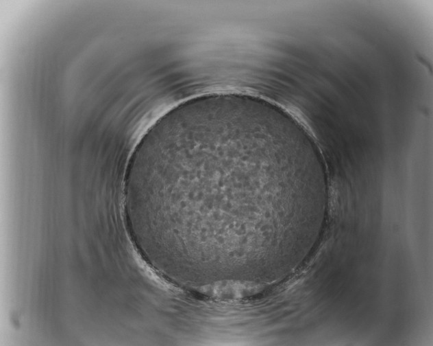 X0000102250895200808011308