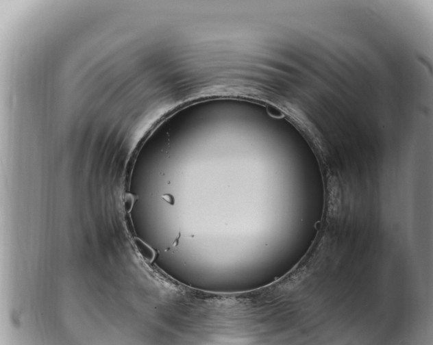 X0000102250896200808011308