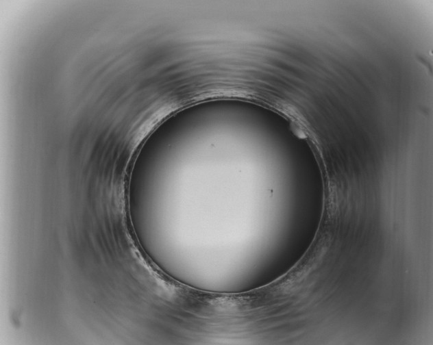 X0000102250898200808011308