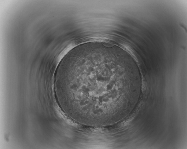 X0000102250899200808011308