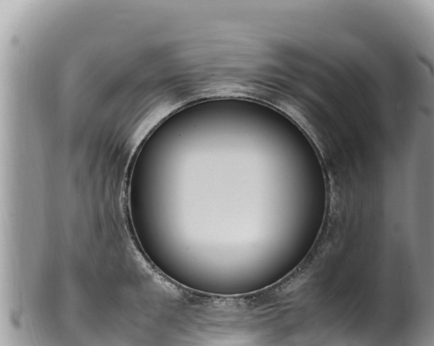 X0000102250901200808011308