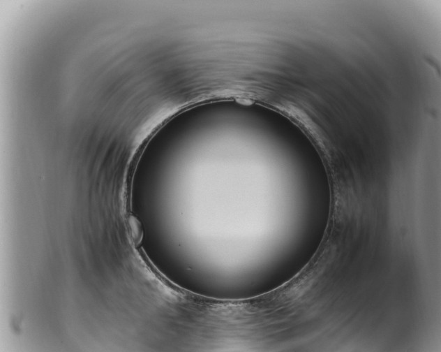 X0000102250902200808011308