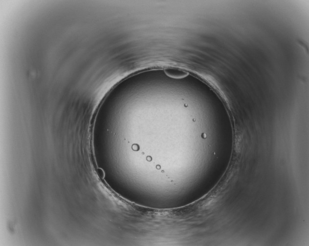 X0000102250903200808011308