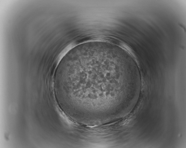 X0000102250907200808011308