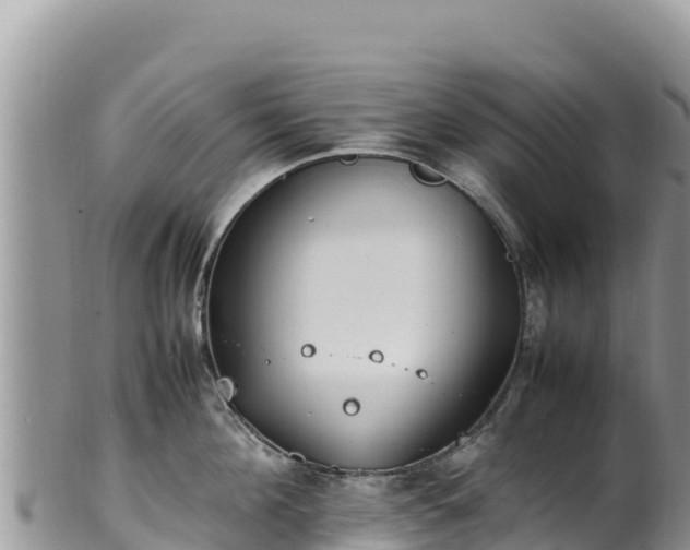 X0000102250908200808011308