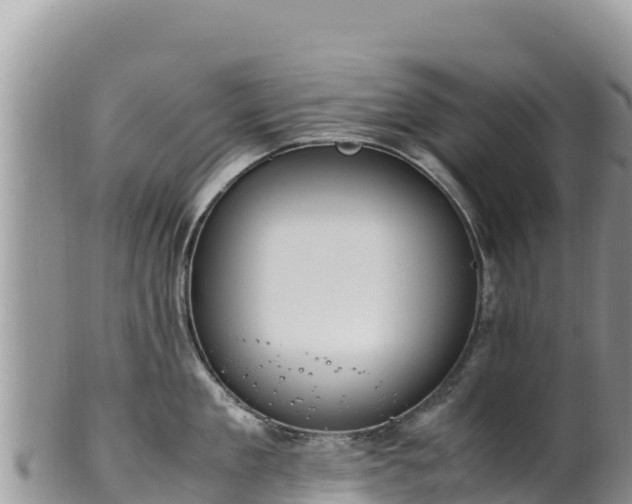 X0000102250909200808011308