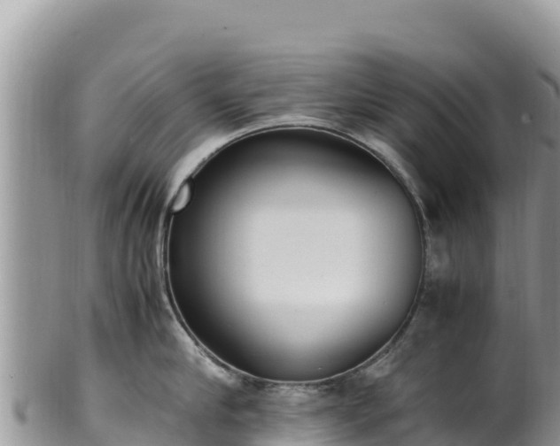 X0000102250910200808011308