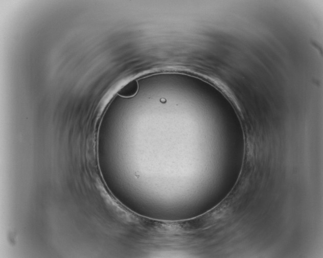 X0000102250911200808011308