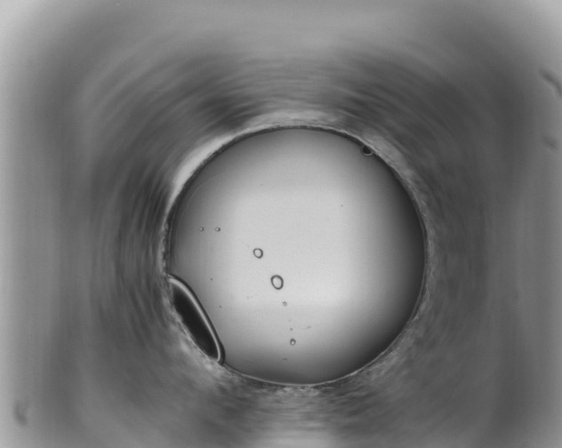 X0000102250912200808011308