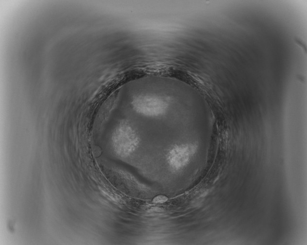 X0000102250913200808011307