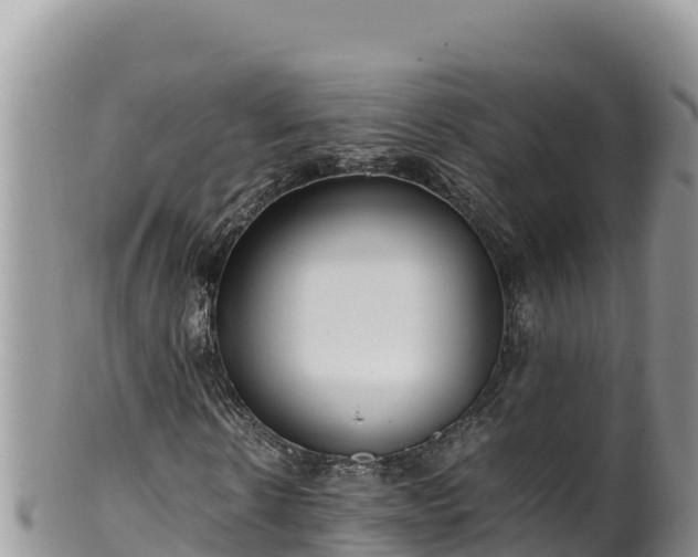 X0000102250914200808011307