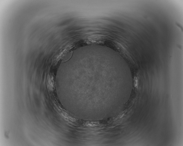 X0000102250915200808011307