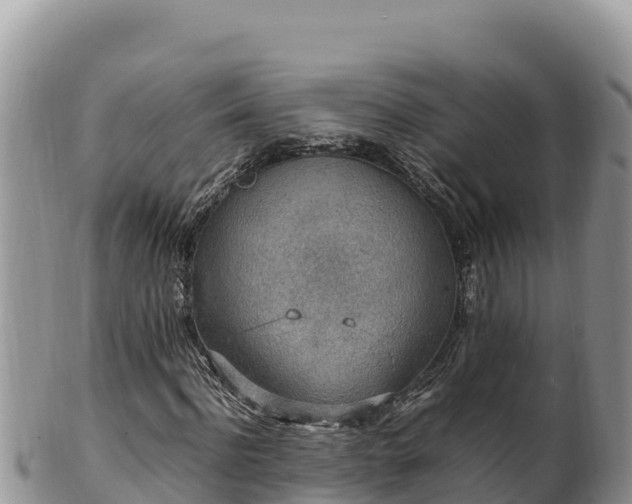 X0000102250916200808011307